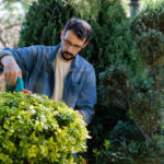 Mature man working and enjoying in his formal garden